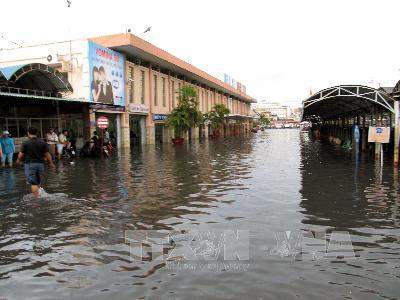 TP Hồ Chí Minh bàn giải pháp cho thoát nước đô thị